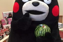 熊本吃瓜,揭秘日本熊本县独特的美食文化