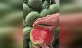 刀具吃瓜,探索刀具与美食的完美邂逅
