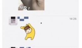 微信吐槽吃瓜,揭秘网络热议背后的真相