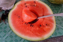 网络吃瓜哪里吃,揭秘各大平台瓜田，让你轻松成为“瓜王”