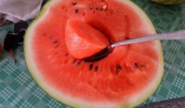 网络吃瓜哪里吃,揭秘各大平台瓜田，让你轻松成为“瓜王”