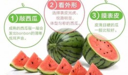 满原吃瓜,揭秘娱乐圈背后的那些事儿