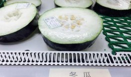 吃瓜的果肉,揭秘吃瓜果肉的奥秘与魅力