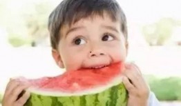 吃瓜记得,吃瓜群众视角下的娱乐圈风云录