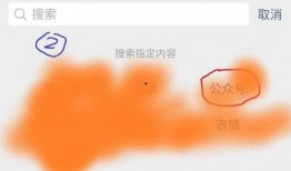 成都吃瓜公众号,揭秘网红美食背后的故事与秘密