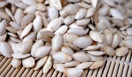 有胃病泈瓜可吃吗,健康饮食新选择