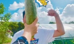 吃瓜过来,吃瓜群众视角下的娱乐圈风云录