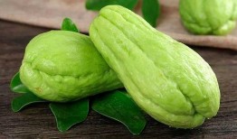 月子可以吃羊角瓜,月子期间羊角瓜的营养益处与食用指南