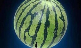 吃瓜小道,吃瓜小道带你领略明星幕后故事