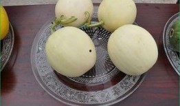 小白瓜可以吃吗经期,小白瓜的食用与禁忌