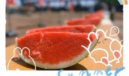 周六吃瓜日,揭秘娱乐圈新鲜事