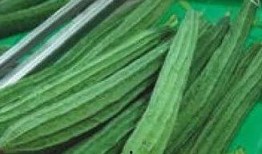 吃瓜群众是吃丝瓜吗,是吃丝瓜还是另有深意？