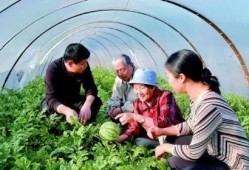 中国人吃瓜现场,一场全民“吃瓜”盛宴