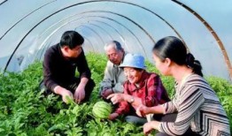 中国人吃瓜现场,一场全民“吃瓜”盛宴