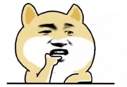 小呆呆吃瓜,小呆呆的瓜田奇遇记