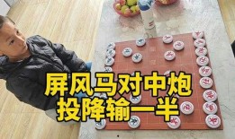 吃瓜小孩下象棋,吃瓜小孩的象棋奇遇记