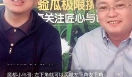 吃瓜爆瓜直播,吃瓜爆瓜，揭秘娱乐圈幕后真相