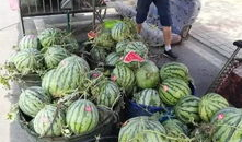 2020潮汕吃瓜事件