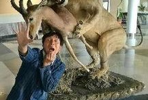 带你吃瓜老狮,揭秘带你吃瓜老狮的传奇故事