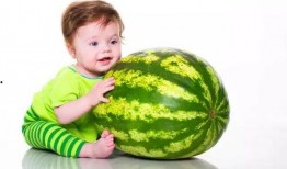 小呆瓜吃西瓜,小呆瓜的甜蜜西瓜之旅