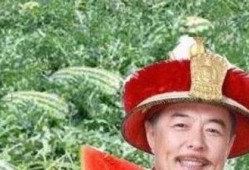 朝廷上吃瓜,揭秘朝廷上吃瓜背后的权力博弈