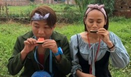 吃瓜比赛视频全集,全民狂欢，瓜界盛宴
