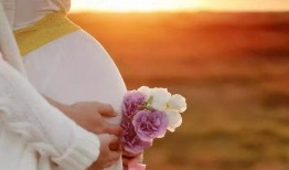 怀孕可吃土瓜,土瓜助力健康孕育之旅