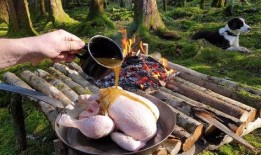 在森林里吃酸瓜,酸瓜引发的探险之旅