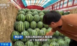 vx吃瓜中转站,热门话题背后的真相与内幕