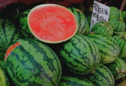 为什么吃瓜要钱,揭秘吃瓜为何需付费的背后真相