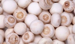 蘑菇爆料吃瓜视频,揭秘吃瓜视频背后的真相与幕后故事