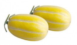 吃瓜吃瓜永远吃瓜,永远沉浸于瓜田的欢乐与思考