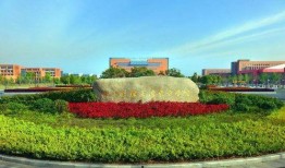 吃瓜杭州财经大学,杭州大学生视角下的财经风云