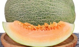 孕妇吃海南蜜瓜,海南蜜瓜的营养益处与食用指南