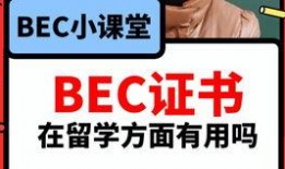 吃瓜中国爆料视频,热门视频背后的真相与争议