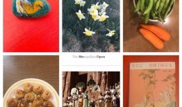 呼和浩特疫情吃瓜