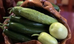 西华网红吃瓜,揭秘网络红人的幕后故事