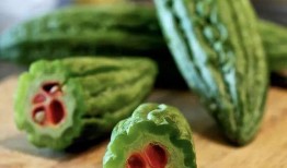 石狮宝盖吃瓜,探寻夏日吃瓜的清凉秘境