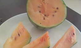 吃瓜吃瓤吗,揭秘瓜果食用新风尚
