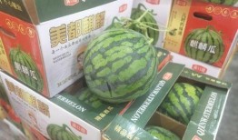 温州时刻吃瓜