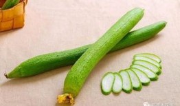 夏季营养吃瓜,夏日消暑营养佳——吃瓜攻略大揭秘