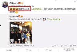 吃瓜人才组才华展示,吃瓜人才组才华大放异彩