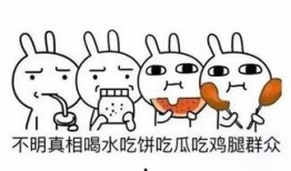 吃瓜热门口号,揭秘吃瓜群众的狂欢盛宴