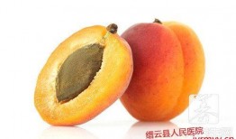 月子期可以吃梨瓜吗,助力产后恢复