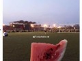 情意吃瓜全文,一场关于情感与美食的深度体验之旅