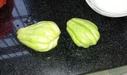 兔子吃脆瓜吗,探究小动物的特殊饮食习惯