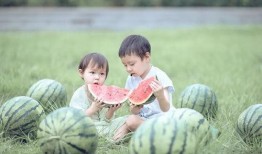 萌娃壁纸吃瓜,揭秘萌娃界的甜蜜瓜田