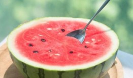 山东公务员吃瓜