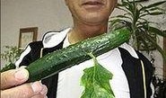 带你吃瓜变异蔬菜,带你探索“带你吃瓜”变异蔬菜的奥秘