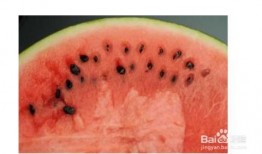 北方大白瓜怎么吃